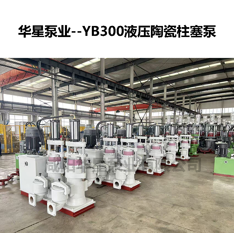 YB300液壓陶瓷柱塞泵-19