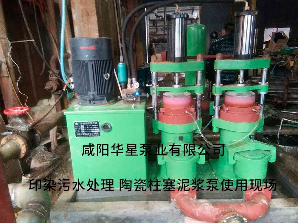 印染廠使用YBH300立式柱塞泵客戶現(xiàn)場